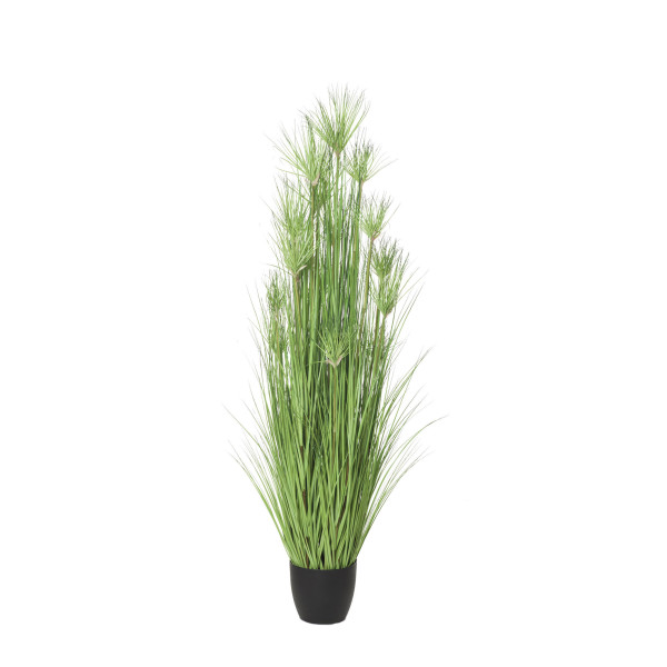 480096 PLANTA GRASS/PAPIRUS 62CM