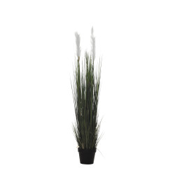 comprar 478273 PLANTA GRASS PLUMERO X5/613H 135CM online de desde 417,43 € comprar 478273 PLANTA GRASS PLUMERO X5/613H 135CM online de desde 417,43 €