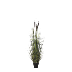 478497 PLANTA GRASS PUROS 120CM