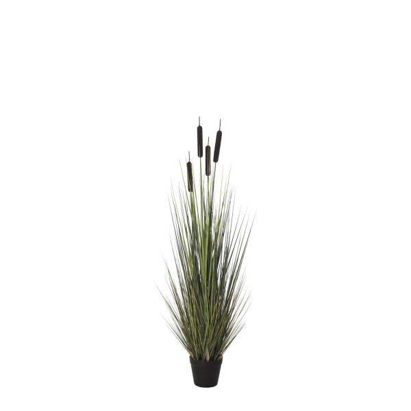 478497 PLANTA GRASS PUROS 120CM