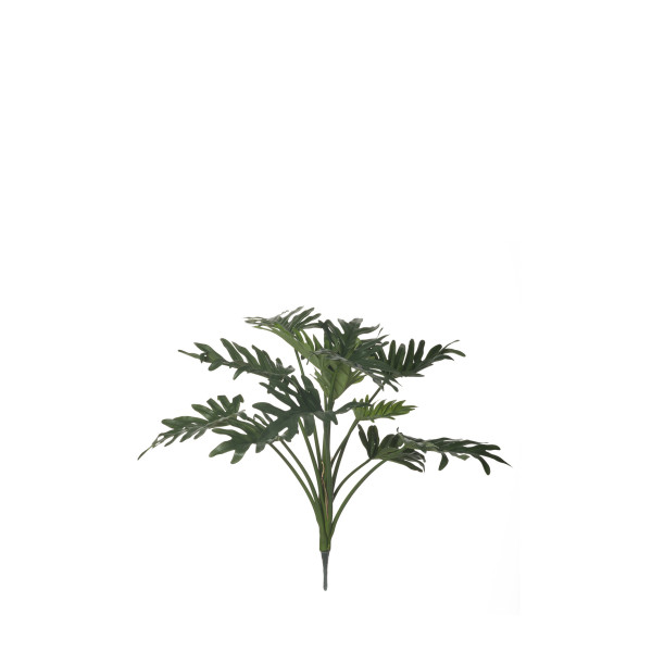 480971 FB PLANTA MATA FILODENDRO X13 55CM C/M