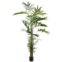 comprar 475401 PALMERA KENTIA X248 210CM online de  desde 474,21 €