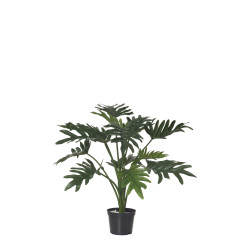 comprar 480103 MATA FILODENDRO X13 52CM online de  desde 65,34 €