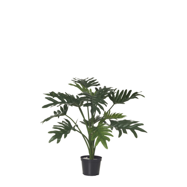 480103 MATA FILODENDRO X13 52CM