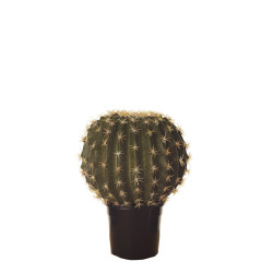 comprar FB CACTUS BOLA MED. C/MAC online de desde 64,86 € comprar FB CACTUS BOLA MED. C/MAC online de desde 64,86 €