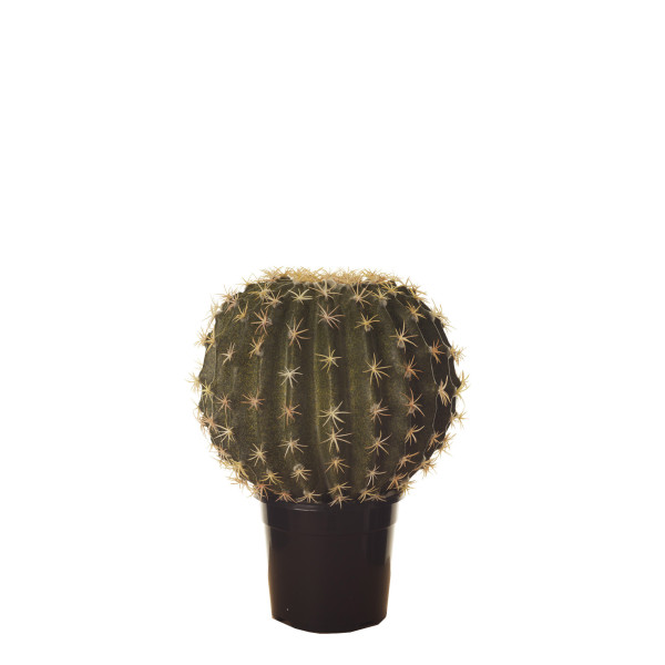 FB CACTUS BOLA MED. C/MAC