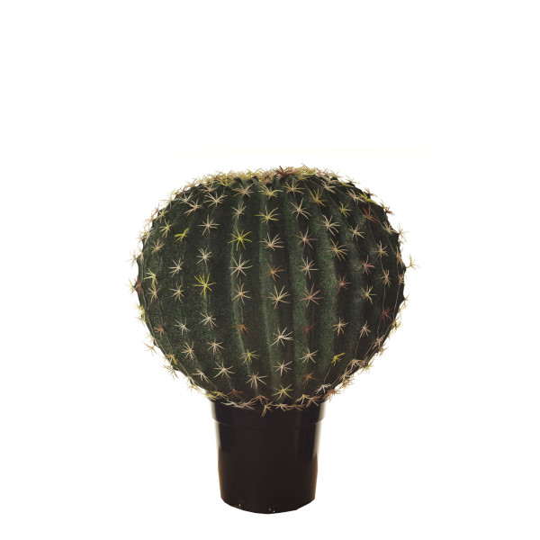 FB CACTUS BOLA GDE. C/MAC