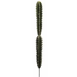 comprar 475849 CACTUS HOONDIA -A- 74CM online de  desde 28,11 €