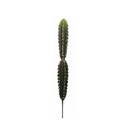 comprar 475865 CACTUS HOONDIA -C- 49CM online de desde 18,15 € comprar 475865 CACTUS HOONDIA -C- 49CM online de desde 18,15 €