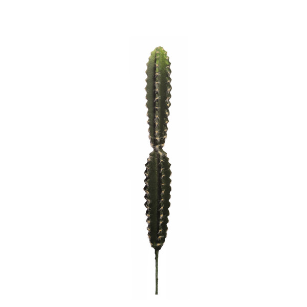 475865 CACTUS HOONDIA -C- 49CM