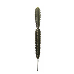 comprar 475857 CACTUS HOONDIA -B- 60CM online de  desde 19,59 €