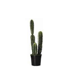comprar FB HOONDIA MED. X3 C/MAC 60CM online de desde 47,99 € comprar FB HOONDIA MED. X3 C/MAC 60CM online de desde 47,99 €