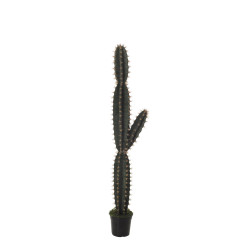 comprar FB AGAVE CORRYOCACTUS MED. 137CM C/M online de desde 169,40 € comprar FB AGAVE CORRYOCACTUS MED. 137CM C/M online de desde 169,40 €