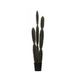 comprar FB CORRYOCACTUS MED. X3 C/MAC 125CM online de desde 220,22 € comprar FB CORRYOCACTUS MED. X3 C/MAC 125CM online de desde 220,22 €