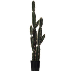 comprar FB CORRYOCACTUS GDE. X3 C/MAC online de desde 837,05 € comprar FB CORRYOCACTUS GDE. X3 C/MAC online de desde 837,05 €