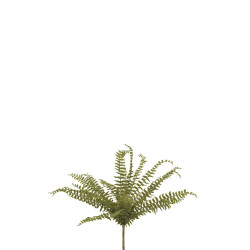 comprar 475328 MATA HELECHO 58CM online de desde 53,11 € comprar 475328 MATA HELECHO 58CM online de desde 53,11 €