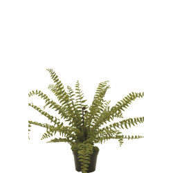 comprar 476706 FB MATA HELECHO 76CM C/MAC (475310) online de  desde 99,83 €