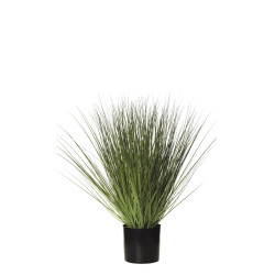 comprar 478455 PLANTA GRASS C/MAC 84CM VERDE online de desde 187,55 € comprar 478455 PLANTA GRASS C/MAC 84CM VERDE online de desde 187,55 €