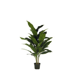 comprar FB PLANTA ASPIDISTRA X3 120CM C/MAC(4711 online de  desde 226,27 €