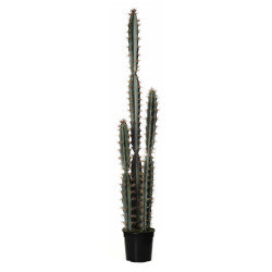 comprar FB CANARIENSE MED.X3 C/MAC 126CM online de desde 169,40 € comprar FB CANARIENSE MED.X3 C/MAC 126CM online de desde 169,40 €