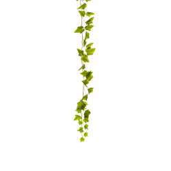 comprar 475998 GUIRNALDA YEDRA X71 180CM online de  desde 12,96 €