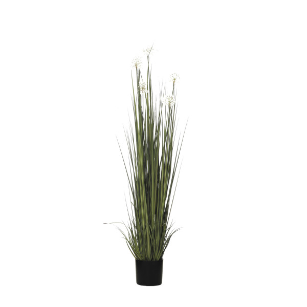 478489 PLANTA GRASS DANDELION 152CM