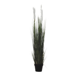 comprar 478281 PLANTA GRASS PLUMERO X7/820H 165CM online de desde 367,84 € comprar 478281 PLANTA GRASS PLUMERO X7/820H 165CM online de desde 367,84 €