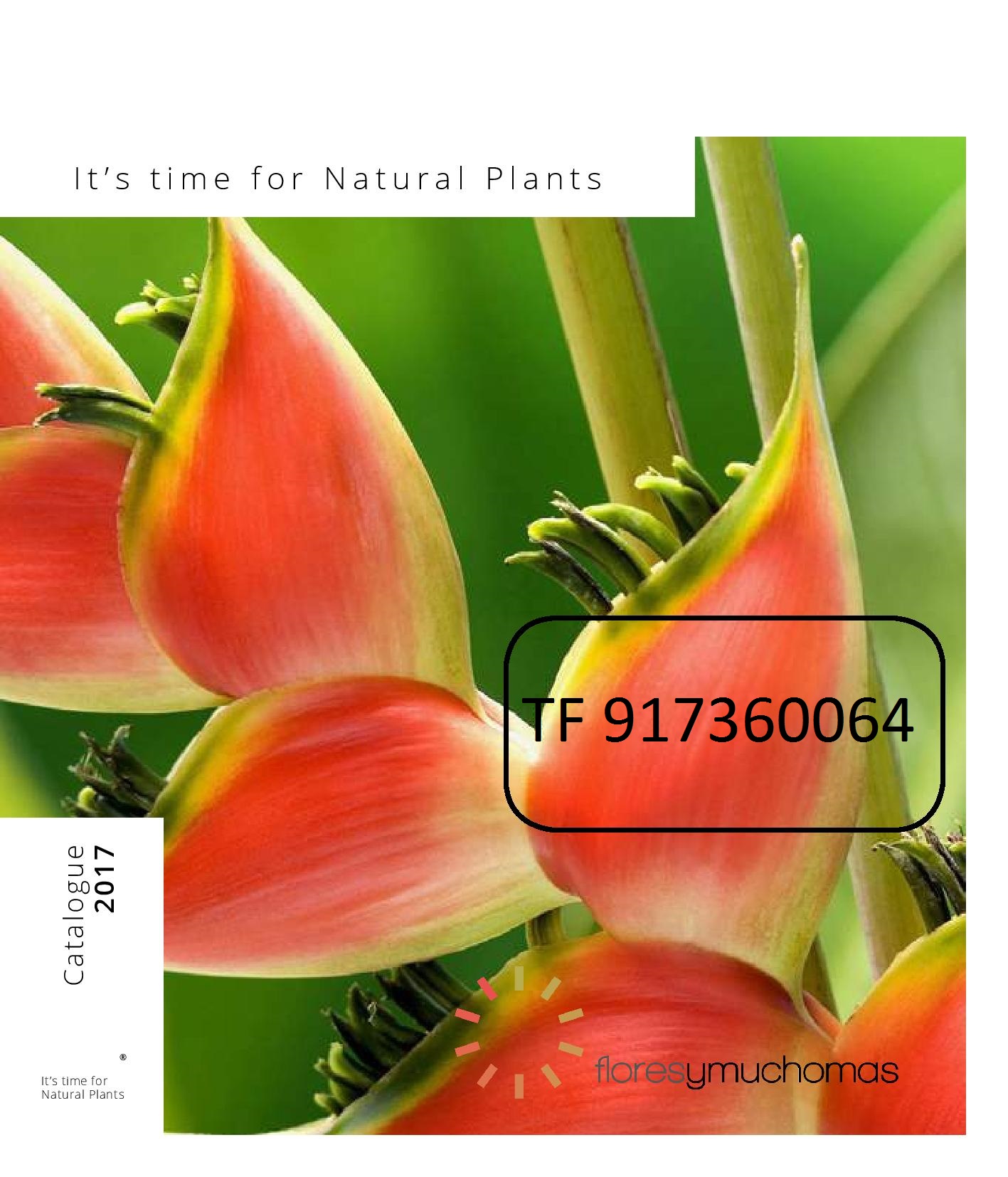 catalogo plantas naturales 2017 venta