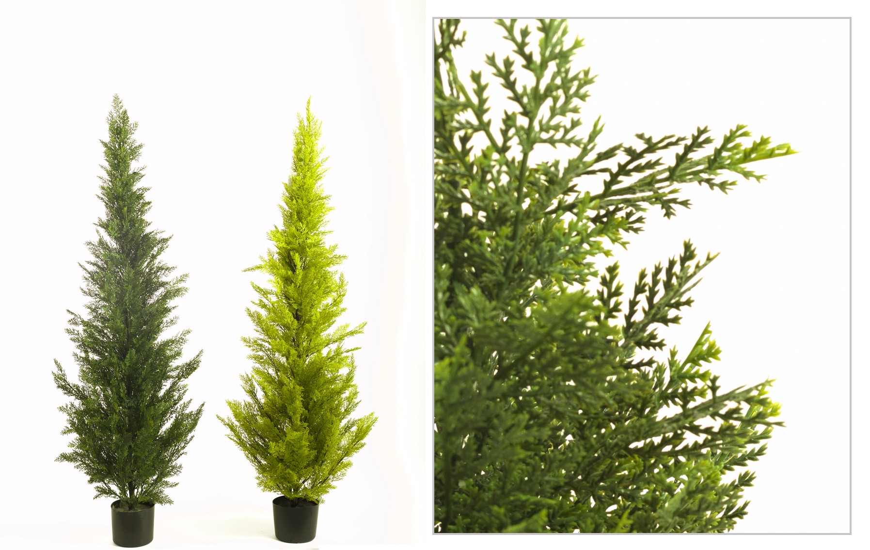 comprar CIPRES 150CM CEDAR online de desde 240,79 €