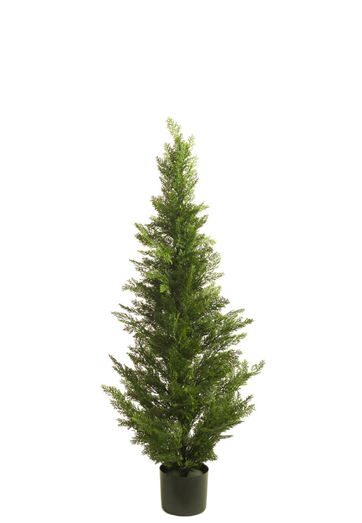 comprar 470401 CIPRES 150CM CEDAR online de desde 240,79 €