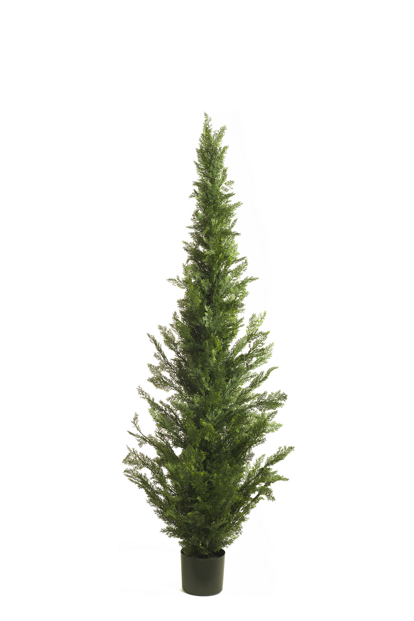 comprar 470419 CIPRES 182CM CEDAR online de desde 382,36 €