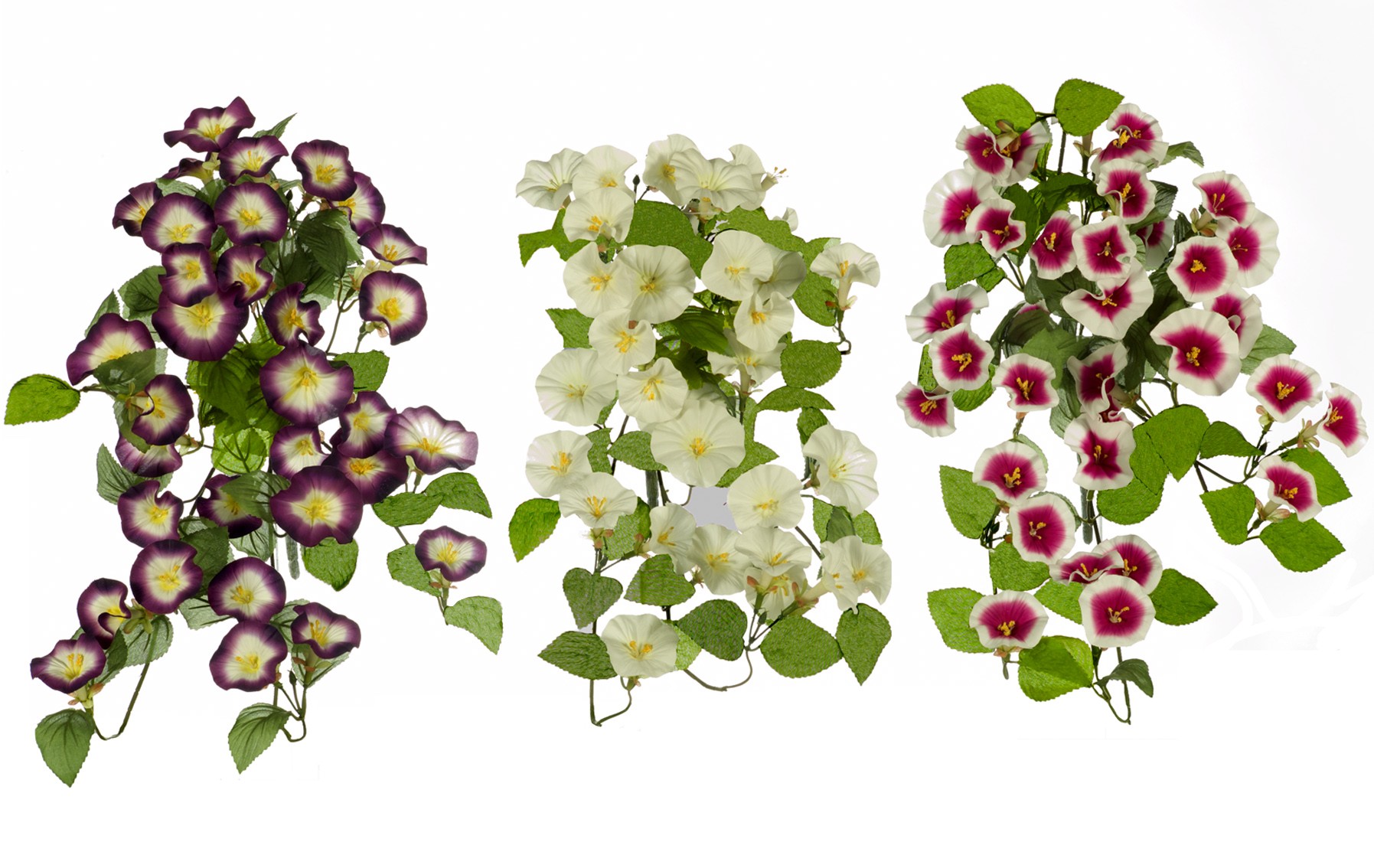 comprar COLGANTE PETUNIA X 14 /60CM online de desde 5,63 €