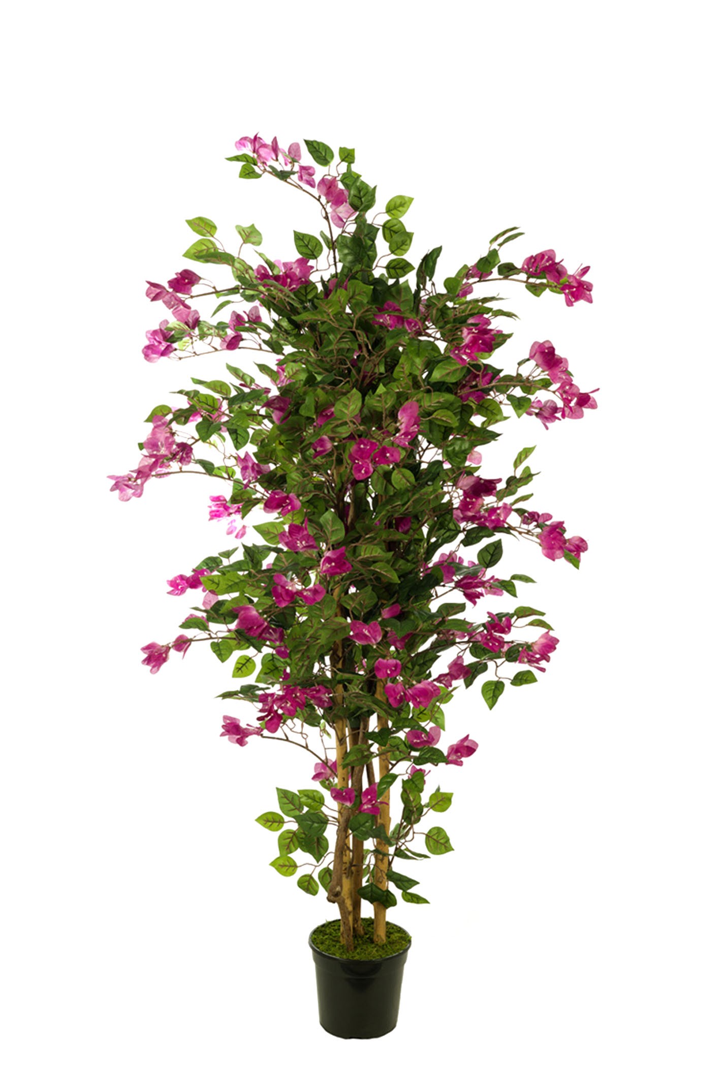 comprar AR.BOUGAMBILIA 1140H456FL 180CM online de desde 313,75 €