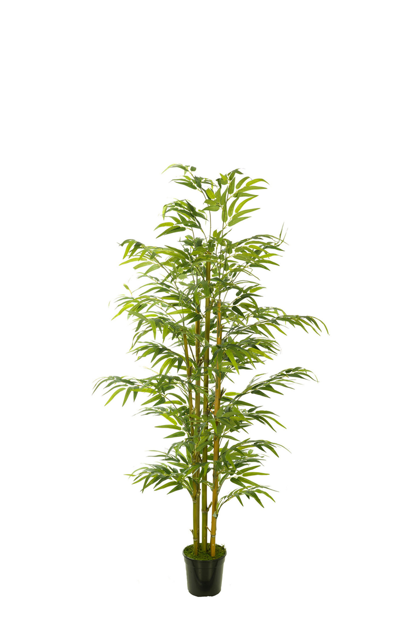 comprar 478009 FB ARBOL BAMBU EC 120CM C/M(306002) online de desde 78,41 €