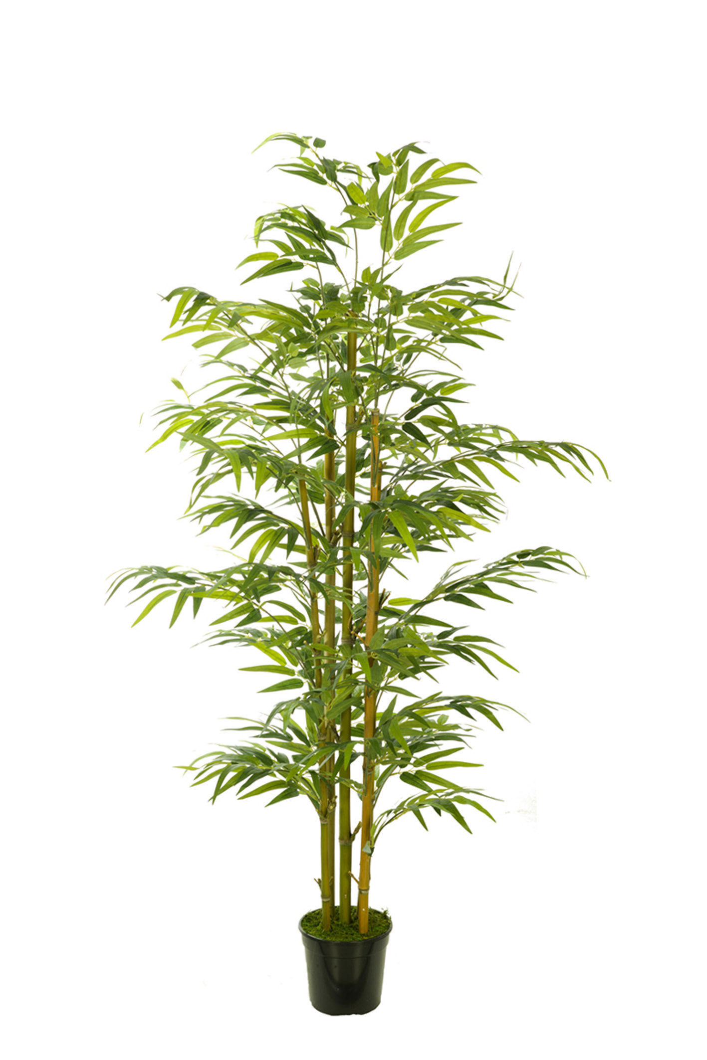 comprar 474726 FB ARBOL BAMBU EC 180CM C/M(306002) online de desde 133,58 €