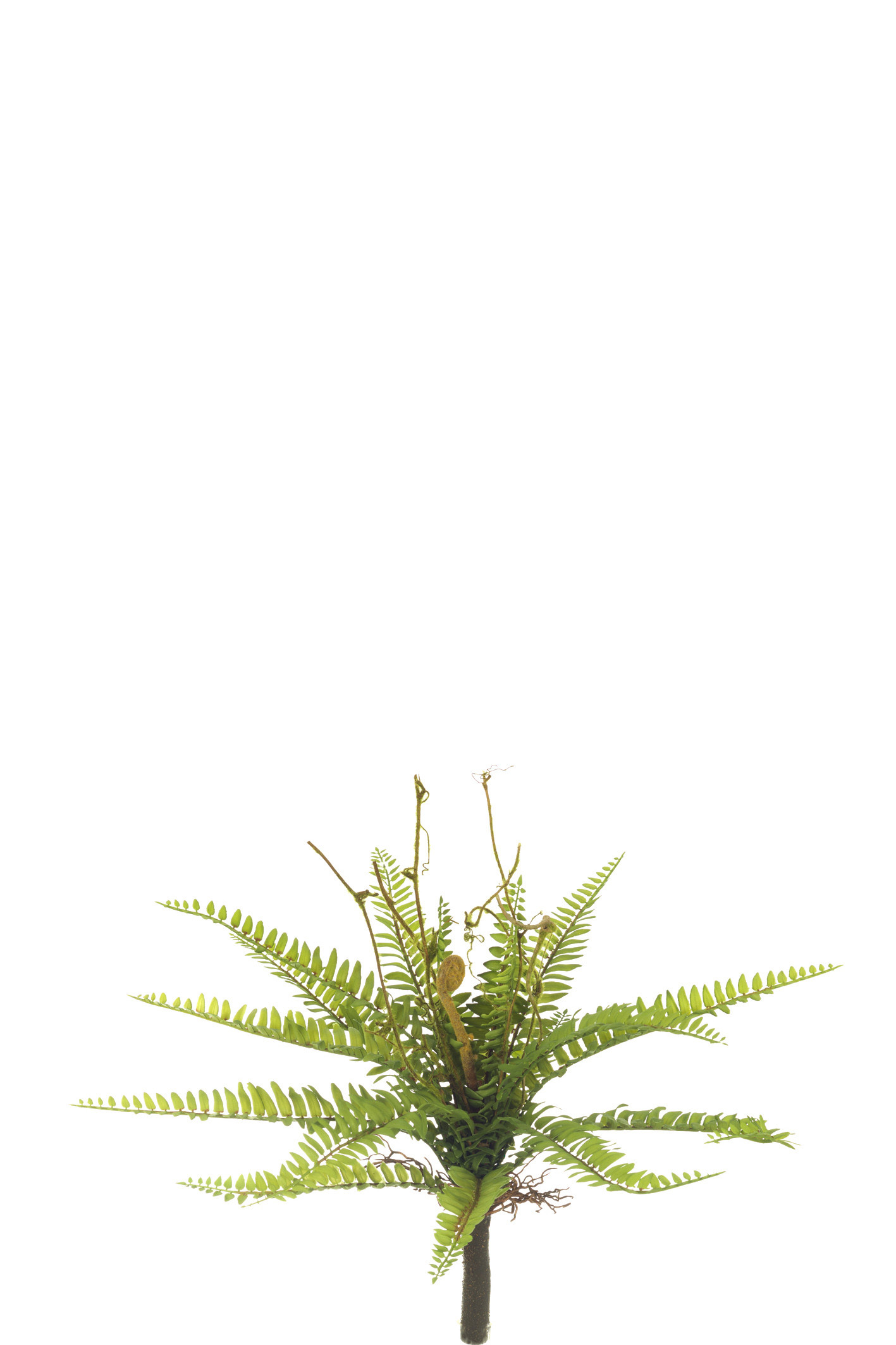 comprar MATA HELECHO PEQUEÑO PLASTIC. 42CM online de desde 18,37 €