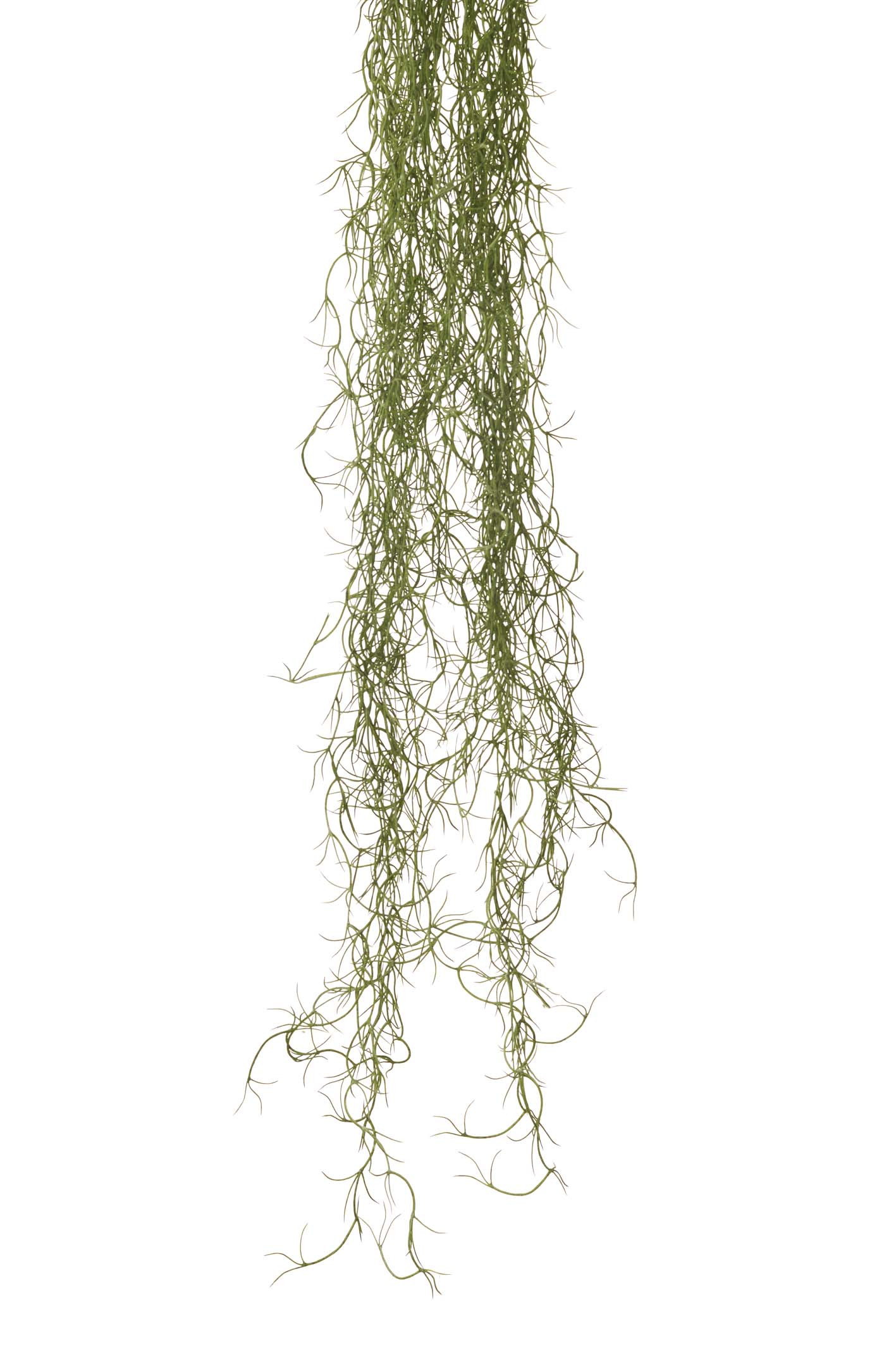 comprar COLGANTE TILLANDSIA GTE. 125CM PLAST. online de desde 39,47 €
