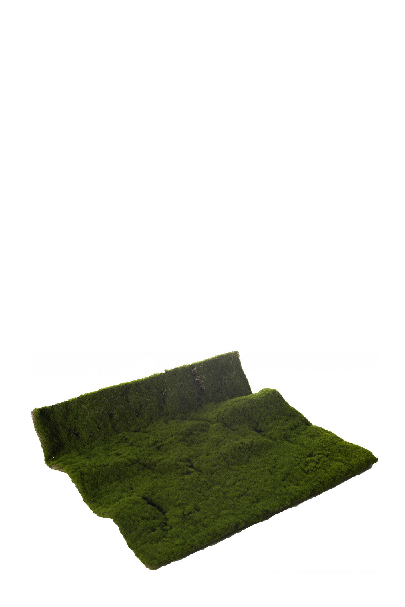 comprar ALFOMBRA MOSS 50 X 50cm online de desde 34,71 €
