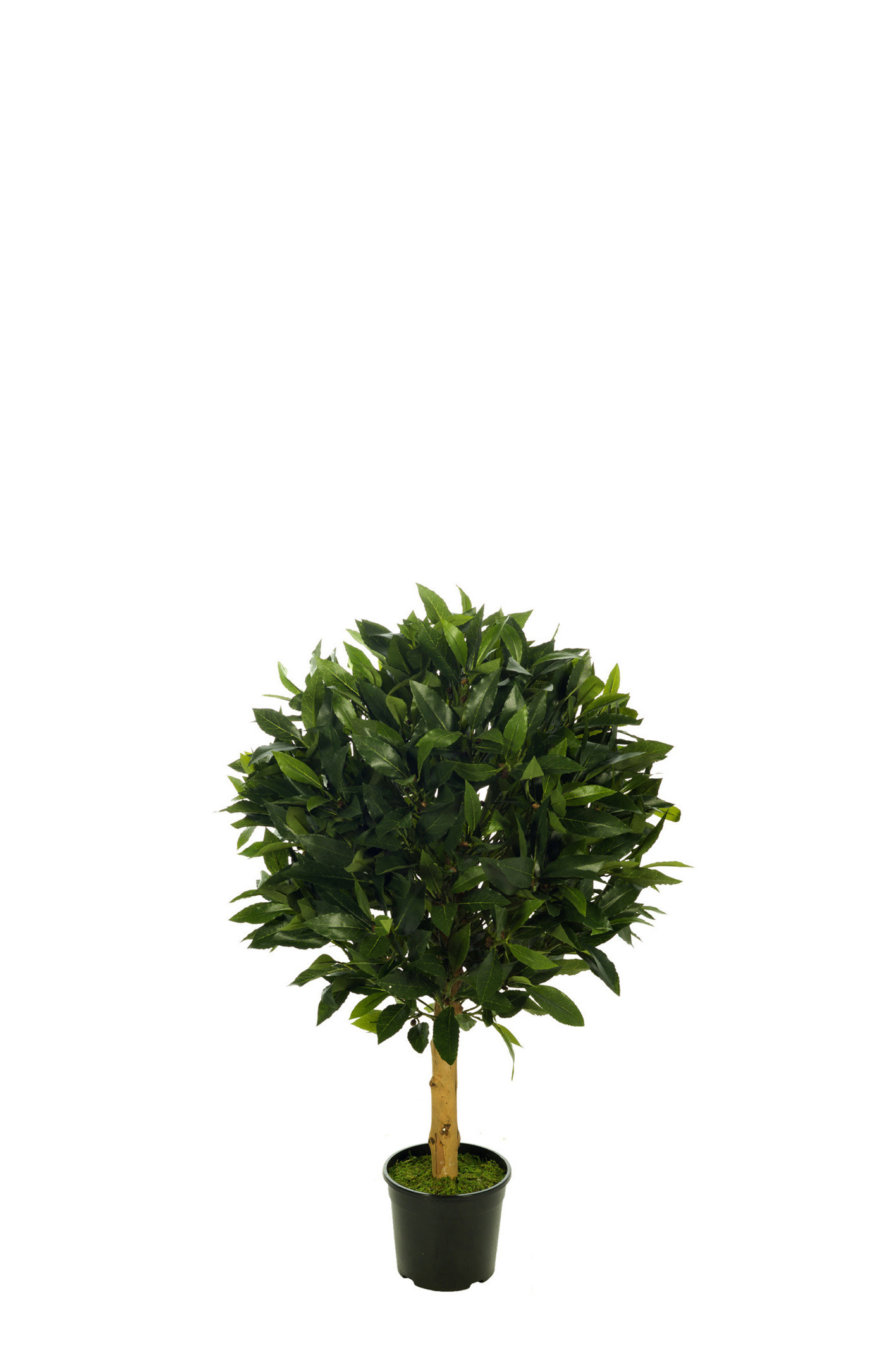 comprar 473471 FB TOPIARI BOLA LAUREL DIA:50CM C/M online de desde 255,31 €