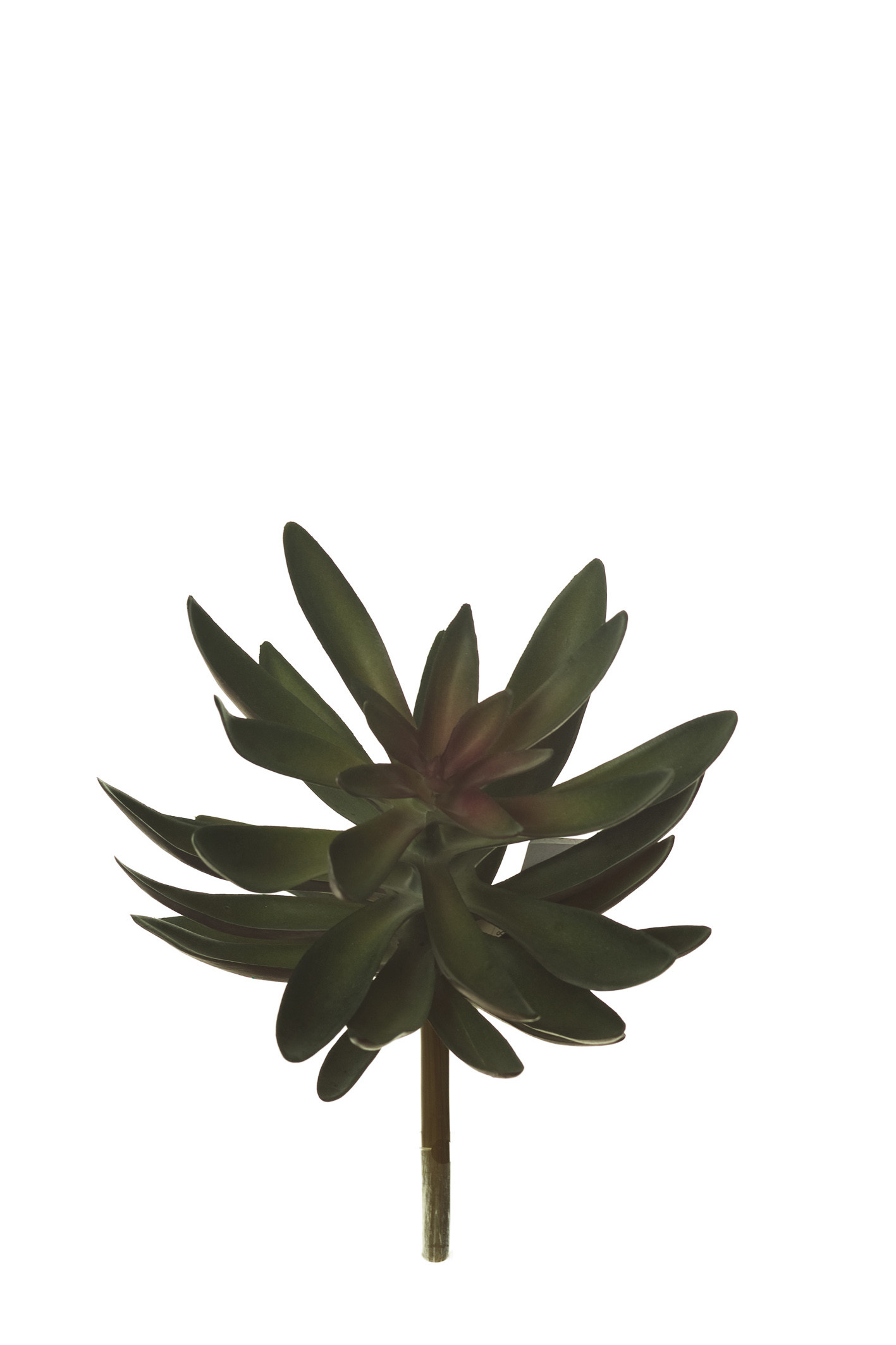 comprar 853425 PICK GRASA LONGTIP MED. online de desde 12,09 €