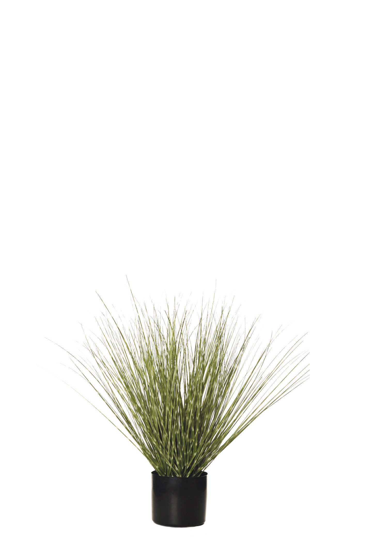 comprar 478463 PLANTA GRASS C/MAC 64CM BI online de desde 120,49 €