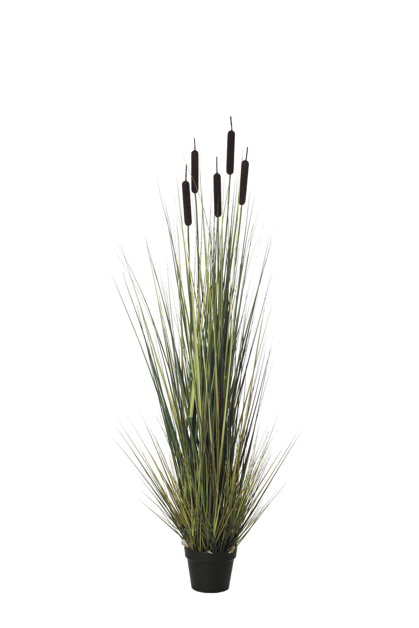 comprar 478314 PLANTA GRASS PUROS X5/396 150CM online de desde 283,14 €