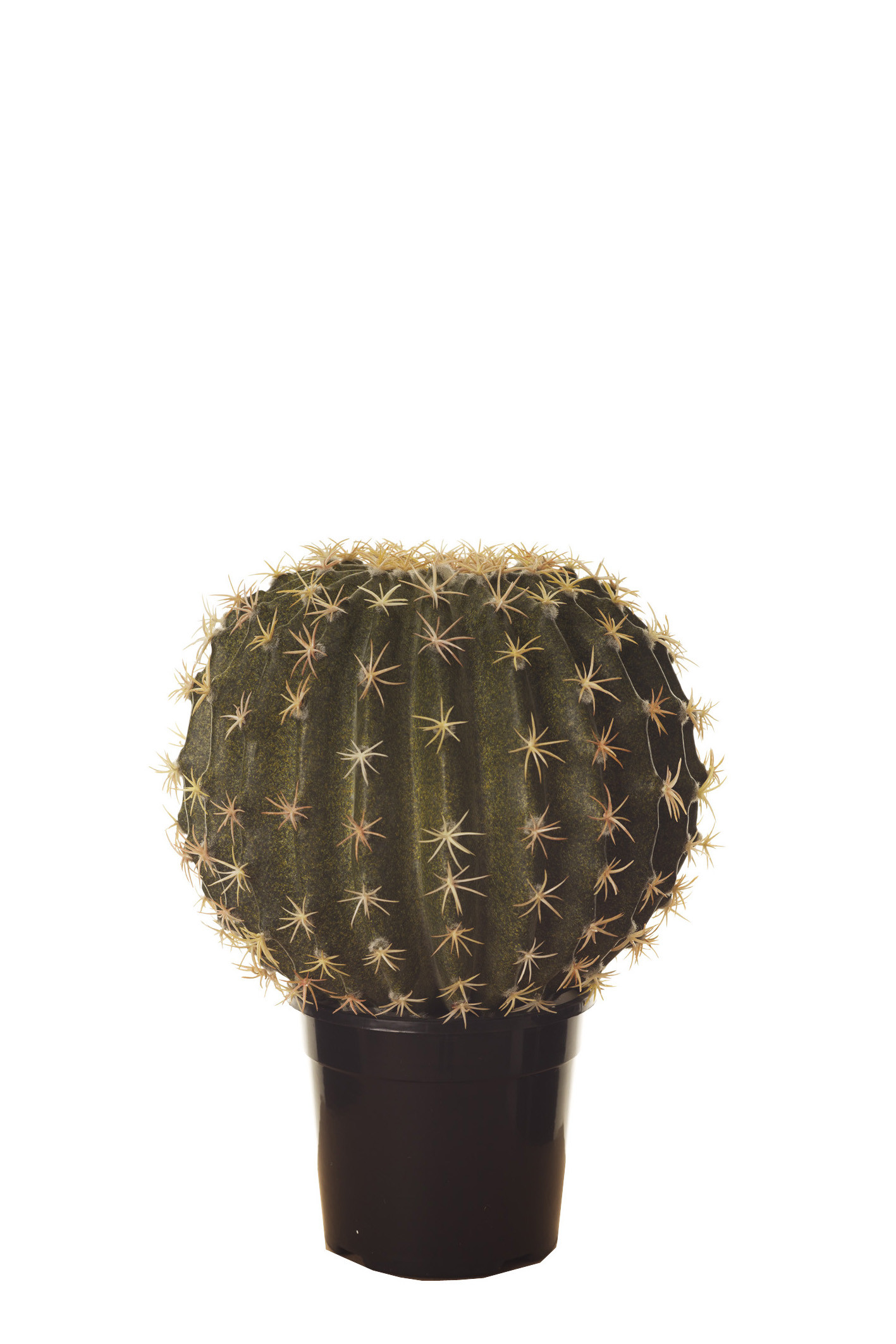 comprar FB CACTUS BOLA MED. C/MAC online de desde 64,86 €