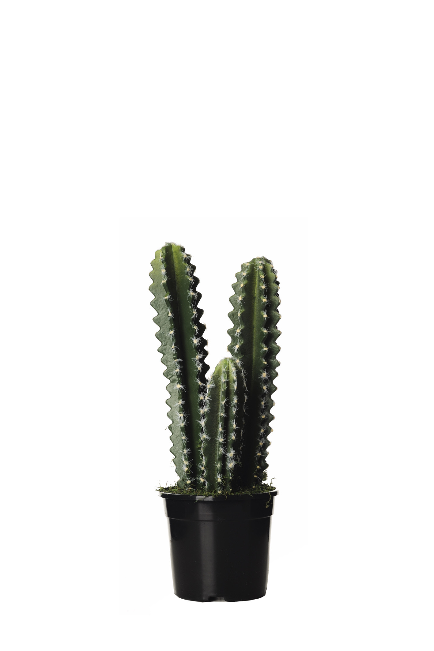 comprar FB HOONDIA PQÑO. X3 C/MAC 44CM online de desde 39,47 €