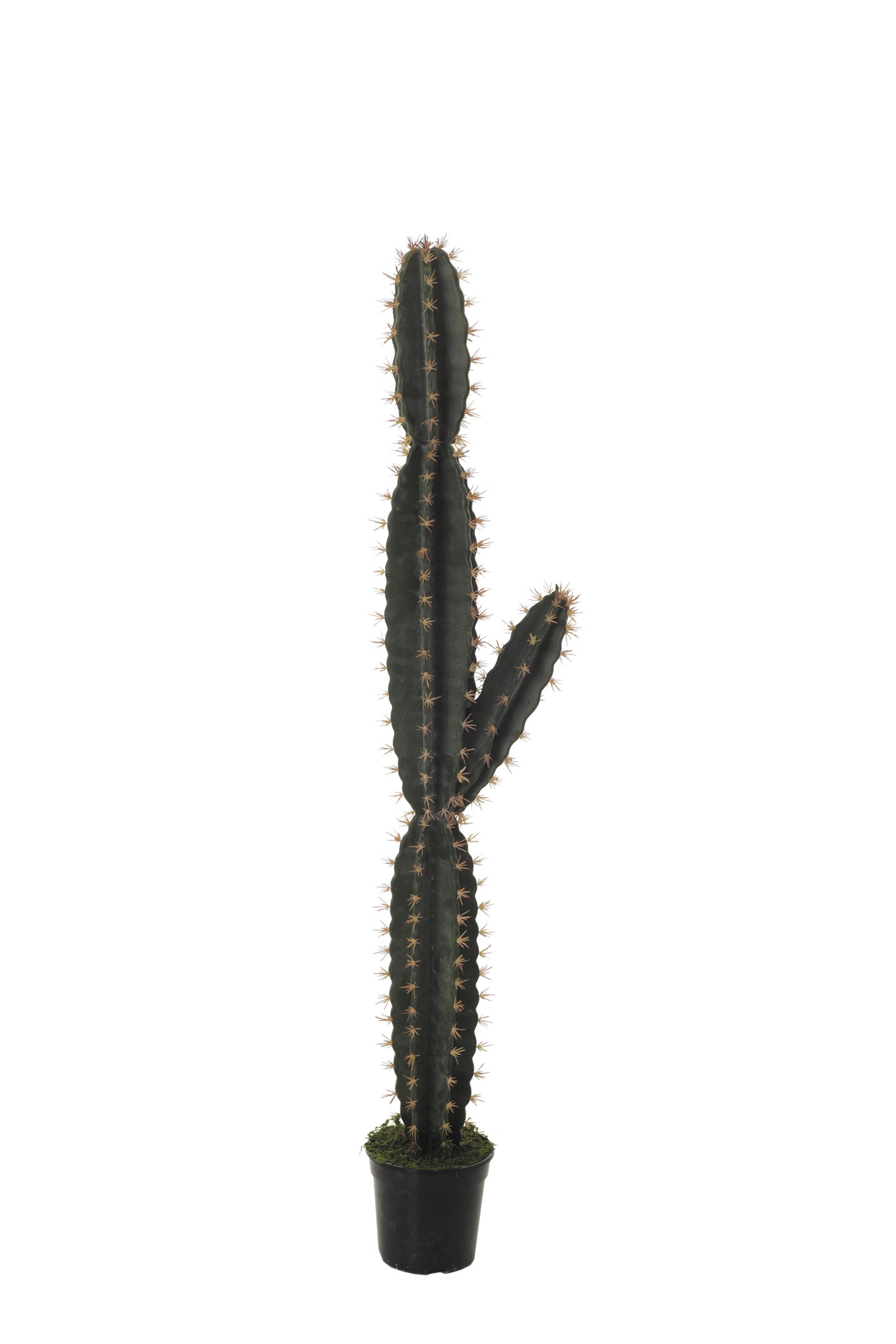 comprar FB AGAVE CORRYOCACTUS MED. 137CM C/M online de desde 169,40 €