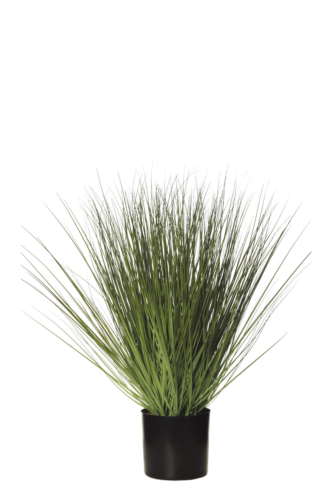 comprar 478455 PLANTA GRASS C/MAC 84CM VERDE online de desde 187,55 €
