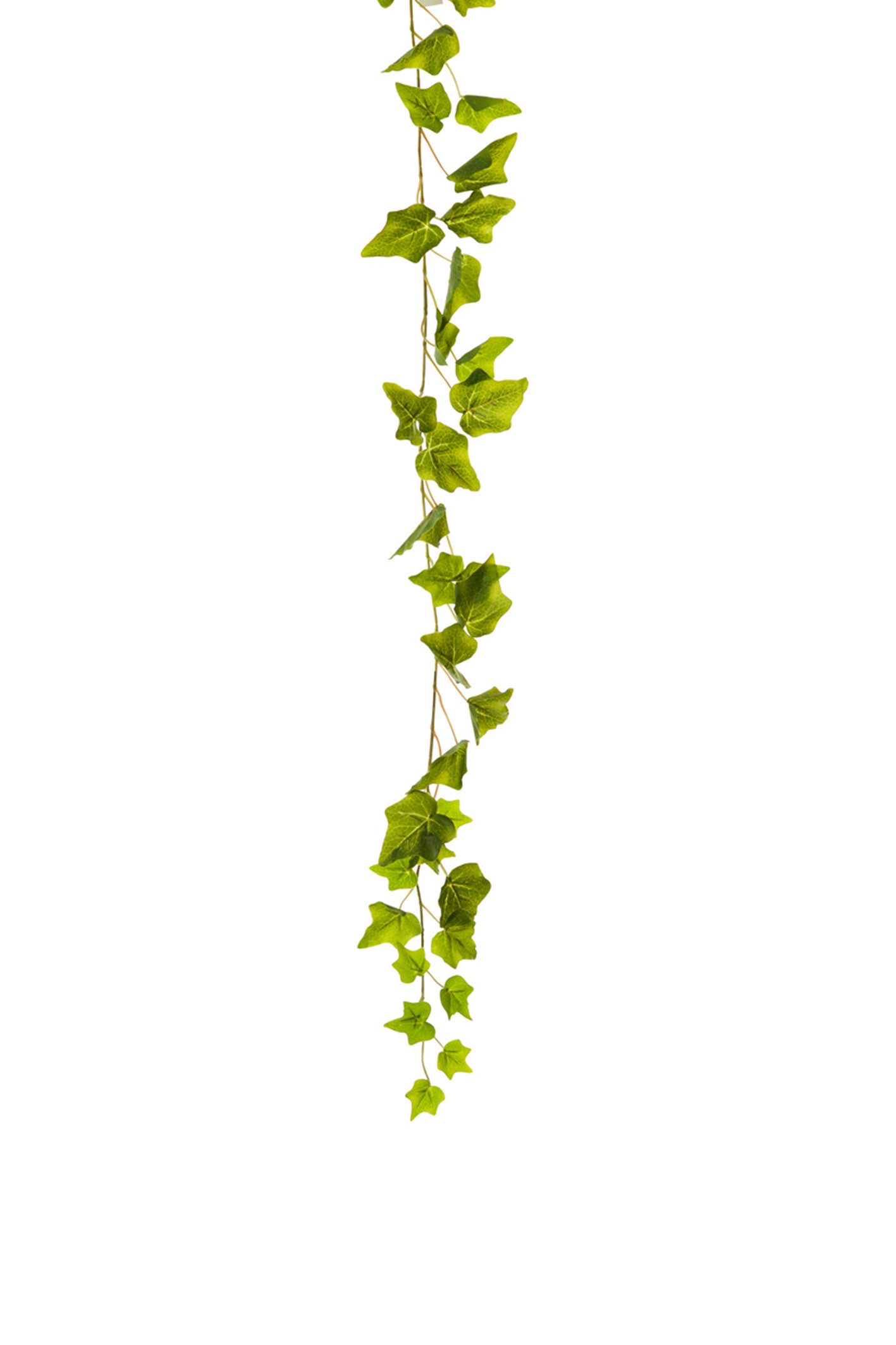 comprar 475998 GUIRNALDA YEDRA X71 180CM online de desde 12,96 €