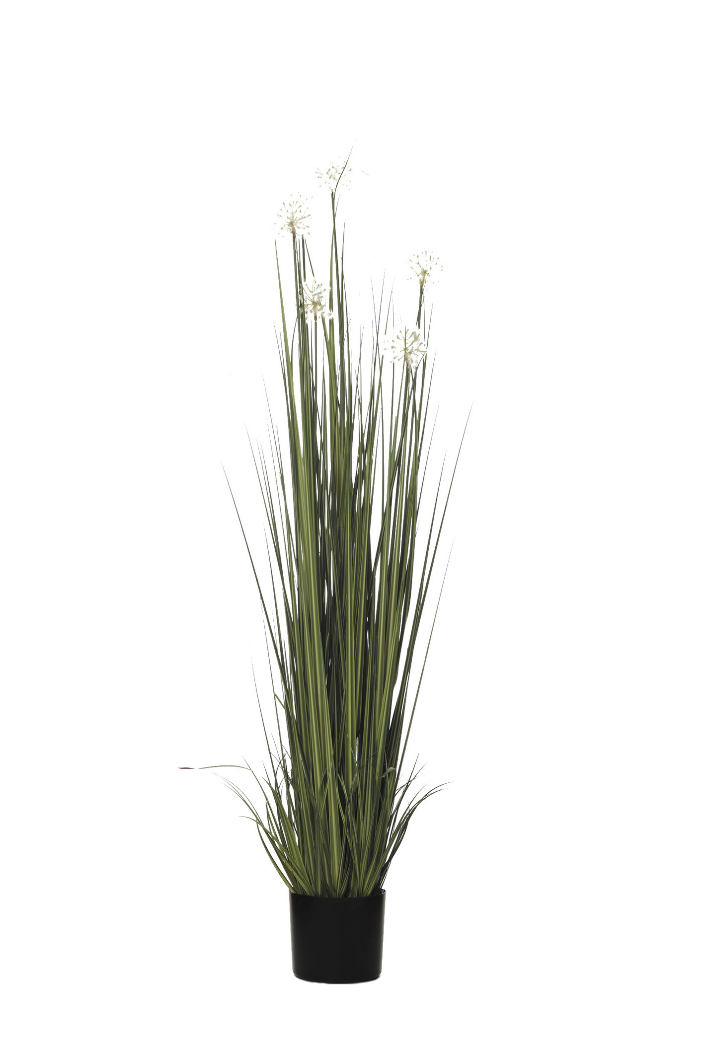 comprar 478489 PLANTA GRASS DANDELION 152CM online de desde 260,15 €