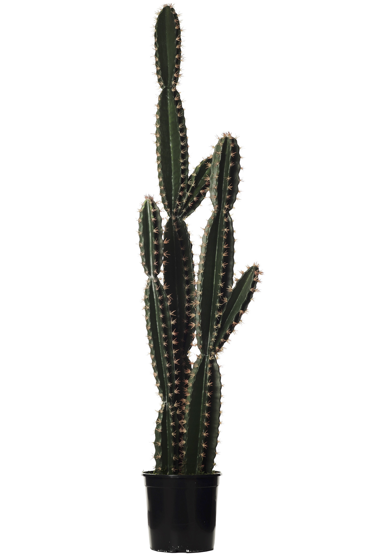 comprar 477291 FB CORRYOCACTUS GTE. X3 C/MAC 190CM (475 online de desde 481,58 €