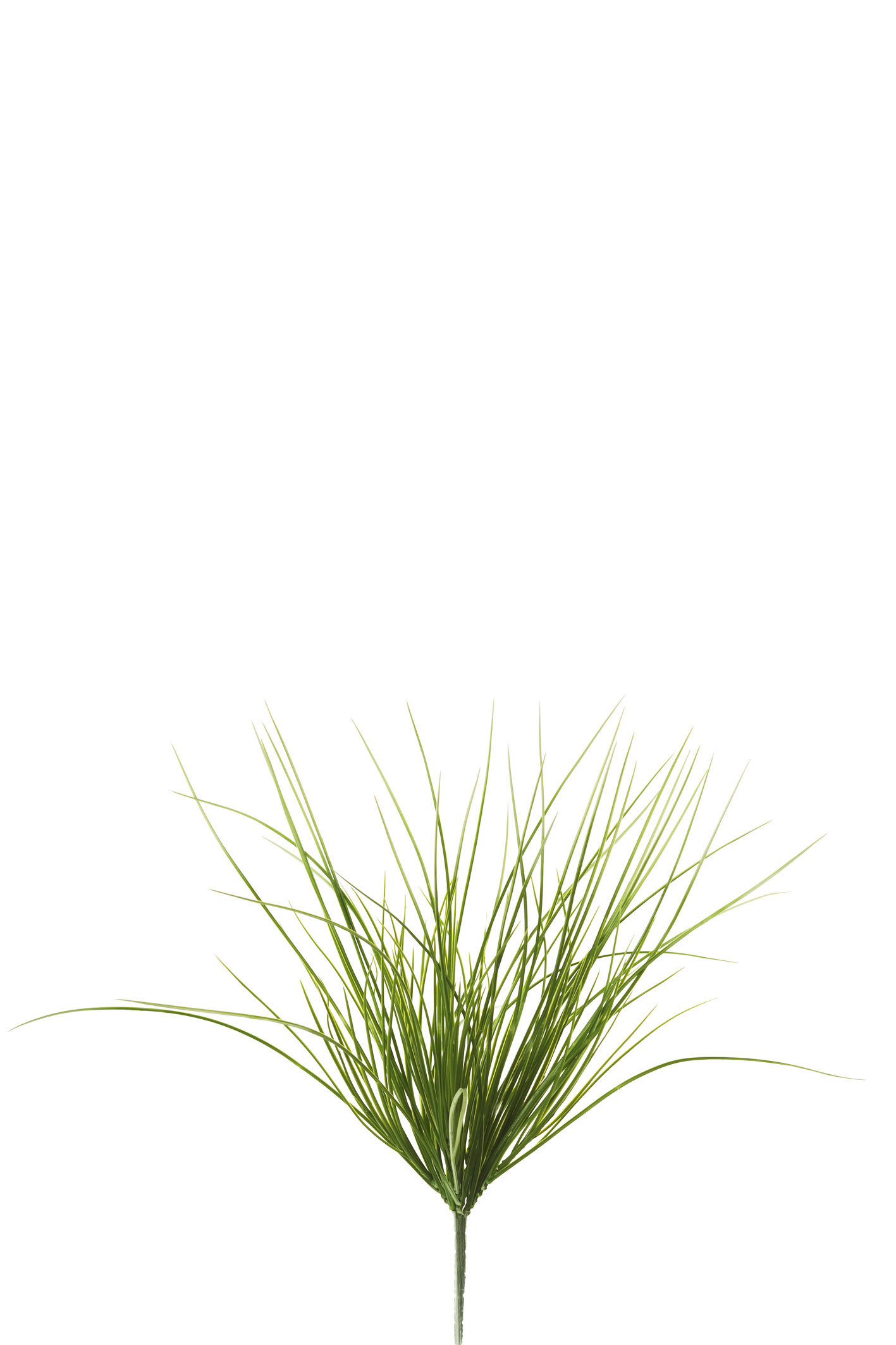 comprar 307894 SPIDER MED. X7 PLAST. 47CM online de desde 9,90 €